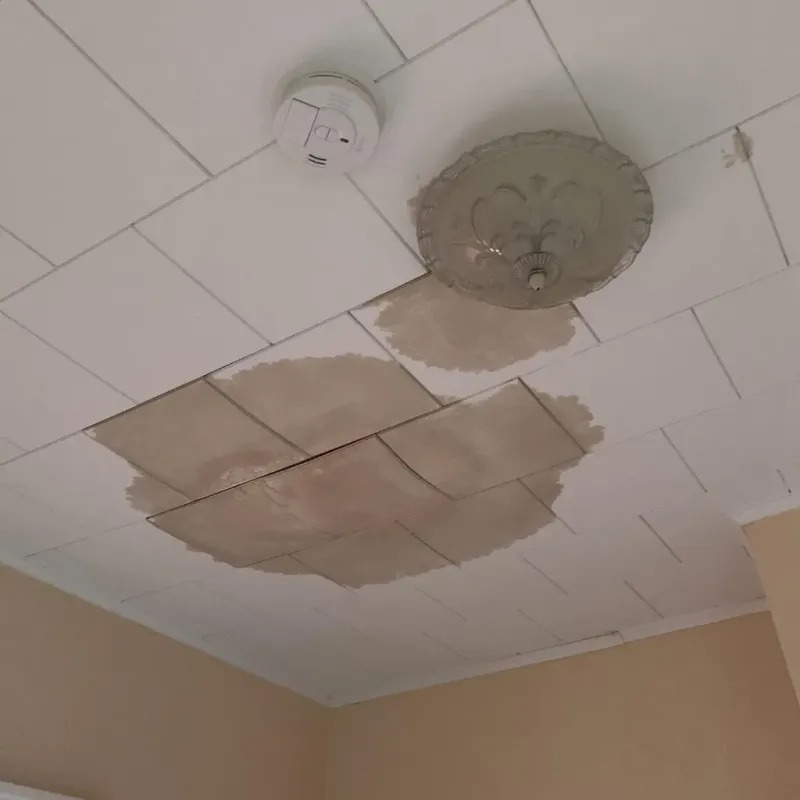 Ceiling Water Damage Repair in Essex Fells, NJ